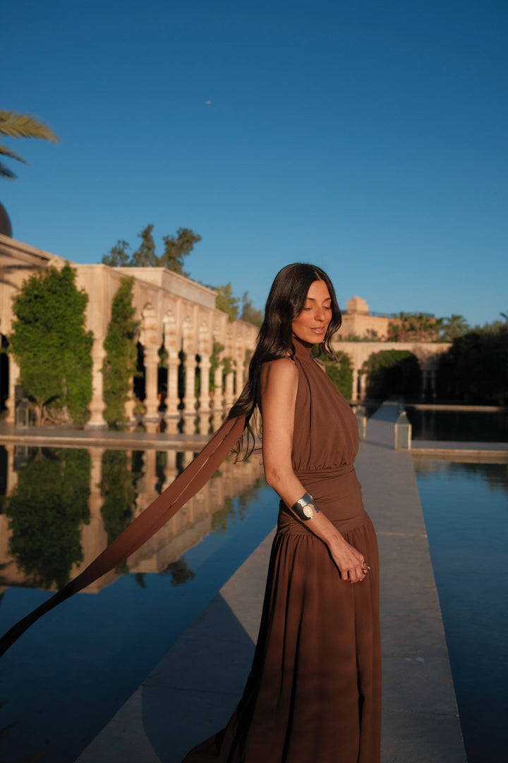 Paloma Dress in Brown - Shipping/Envio 22/06 to 26/06