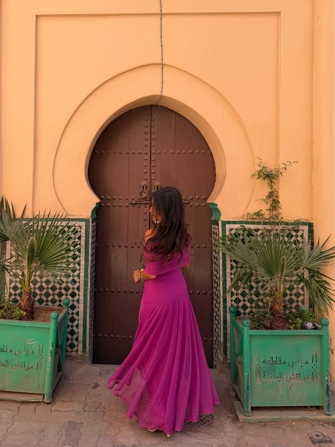 Toledo Dress in Fuxia