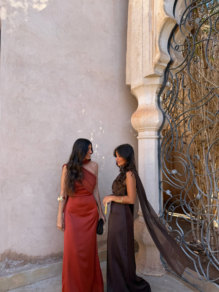 Triana Dress in Brown