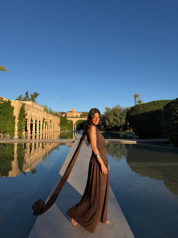 Paloma Dress in Brown - Shipping/Envio 22/06 to 26/06
